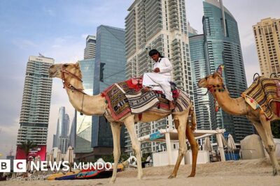 El Espejismo Roto: La Guerra de Irán Desnuda la Fragilidad del Golfo y Golpea sus Bolsillos