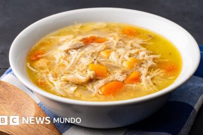 El Secreto Ancestral: Por Qué el Mundo Entero Busca Confort en un Plato de Caldo